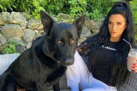 katie price tiere|Katie Price boasts she’s bought more pets after death。